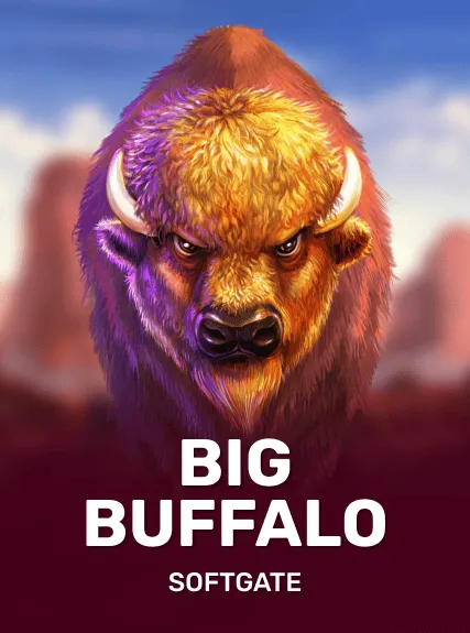 Big Buffalo